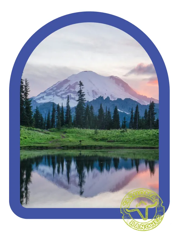 Paisaje del Monte Rainier